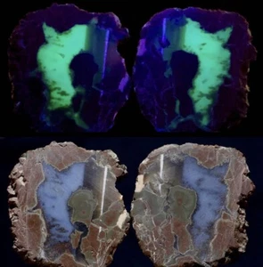 Priday Plume Achat Nudule Thunderegg UV reaktiv - Bild 1 von 3