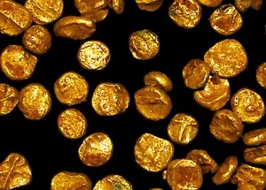 Set of 8 Miniature Gold Coins – Vijayanagara Empire (1336-1646 CE) - Picture 1 of 1
