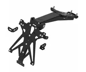 LIGHTECH Porta Targa Regolabil TARTR108B3 Triumph Speed Triple RS 1200 2021 2024 - Foto 1 di 1