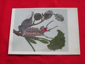 THE TROGGS you're lying ORIG 1960s MINT Polish FLEXI postcard #17 JERZY HEINTZE - Picture 1 of 2