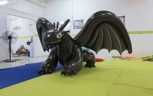 Soft PVC 0.4MM Inflatable Black Dragon 9.84ft Long Pet Animal Cutomized Outdoor - Picture 1 of 5