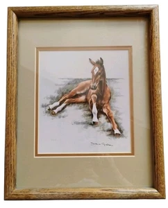 Pferd Fohlen Stutfohlen Colt Druck von Duane Graham signierter Druck 54 von 200 Passepartout & gerahmt - Bild 1 von 8