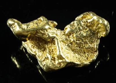 #542 Large Alaskan BC Gold Nugget 25.16 Grams Genuine - Image 1 of 4