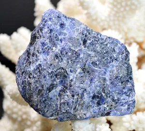 Sodalite - 160 grammes - Hiassu farm, Itaju do Colônia, Bahia, Brésil - Afbeelding 1 van 3
