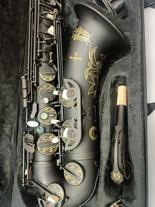 Saxo tenor marca alta calidad negro T902 instrumento en Bb negro latón instrumentos - Imagen 1 de 8