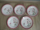 5 ASSIETTES PLATES  DIGOIN SARREGUEMINES MODELE AUDE