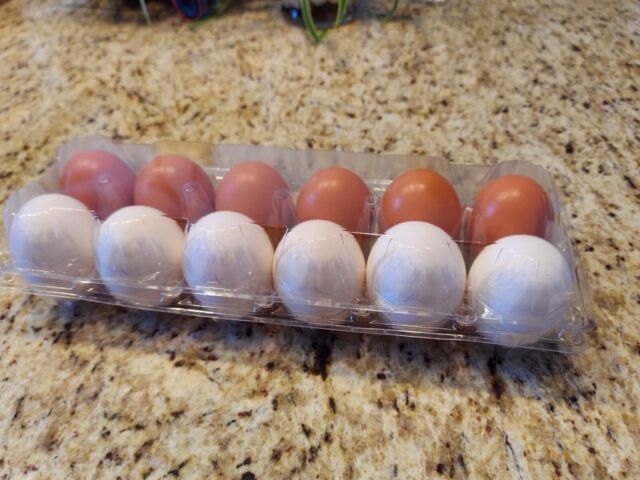 [18 Pack] Egg Cartons - Printed Natural Pulp Tray, Large Eggs Empty  Storage, Holds 1 Dozen of Fresh Farm Chickens and Duck Eggs Container for  Kitchen
