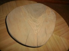 Fetta di tronco in legno di Ulivo