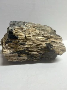 Sehr großes versteinertes Holz rau Mineral Fossil natürlich 21,4 Pfund North Dakota - Bild 1 von 7