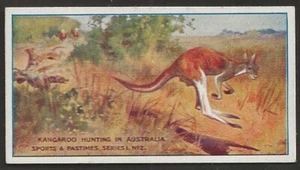 TADDY-SPORTS & PASTIMES 1912-#02- KANGAROO HUNTING IN AUSTRALIA - Picture 1 of 2