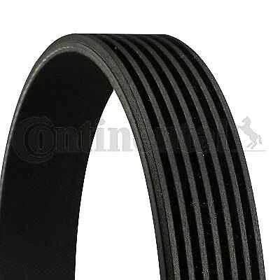 CONTINENTAL CTAM 7PK2061 V-Ribbed Belt for HONDA,INFINITI — 第 1/1 张图片
