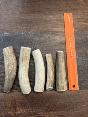 4-6" Elk Antler Dog Chews. (Grade B 1lb bag) - Image 1 of 2
