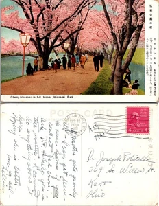 Postal de Cherry Blossoms in Full Bloom Hirosaki Park Japón - Imagen 1 de 1