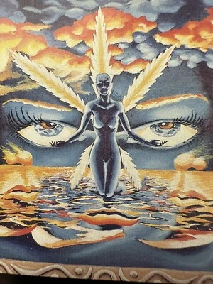 1994 OPPOSITE EARTH VISUALS DEMO PROGRESSIVE POWER METAL CASSETTE FLORIDA - Image 1 of 4