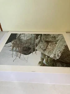 LE Print-Silent Witness-Wolf-Robert Bateman - Picture 1 of 7