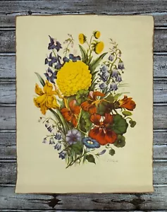 Vintage PJ Redoute' Botanical Art Print Floral Zinnea Daffodil Cottage 14" x 18" - Picture 1 of 7