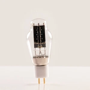 Un par emparejado TUBO de vacío prueba LinLai 300B cerámica vintage AMPLIFICADOR DE ALTA FIDELIDAD HÁGALO USTED MISMO válvula - Imagen 1 de 2