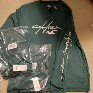 Neu mit Etikett Hollister Grafik Logo T-Shirt Tee Shirt meliert grün L oder XL für Herren - Bild 1 von 2