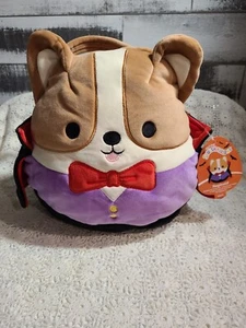 Squishmallows Reginald Vampire Halloween Treat Pail Official Plush Corgi New! - Picture 1 of 5