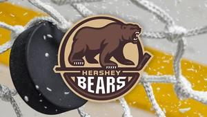 Hershey Bears Tickets in Section 104, Row V, Seats 13-14 - Picture 1 of 1