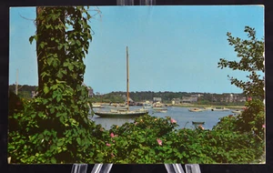 Postcard Wychmere Harbor arwichport Cape Cod Mass MA Boats Posted 1969 - Picture 1 of 2