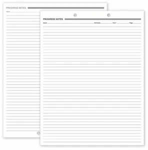 24066 Progress Notes Two Hole Punch White Ledger 8 1/2 x 11" QTY 250 - Picture 1 of 1
