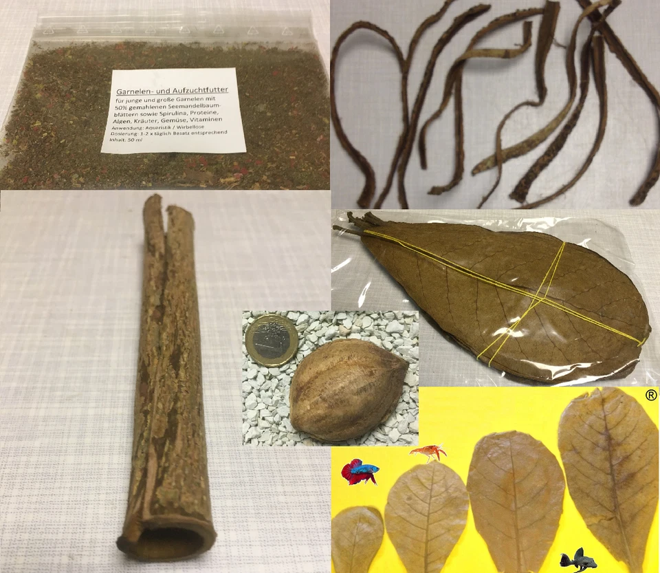 Seemandelbaum Set für Garnelen, Krebse & Co - Futter, Blätter, Rinde, Saatmandel - Bild 1 von 1