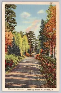 1940er - Grüße aus Wauconda Illinois - Lake County Curt Teich Leinen Postkarte - Bild 1 von 2