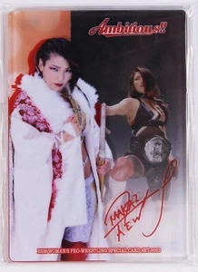 Hikaru Shida - 2023 BBM Woman's Pro Wrestling Acrylic Card Ambitious!! - Imagen 1 de 3