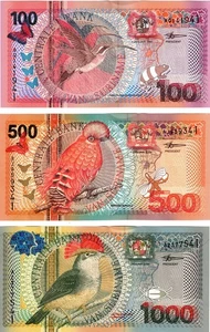 2000 Suriname 100, 500, 1000 Gulden UNC Banknote P149 150 151 Bird set - Picture 1 of 4