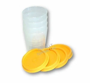 Neu Tupperware 2 Unzen Midgets Set 4 klare Behälter Goldenberry Dichtungen Deckel - Bild 1 von 2