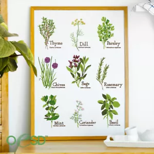OESD Embroidery Designs "Herb Garden" - CD - Bild 1 von 3