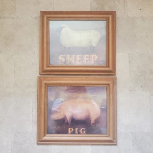 Pig & Sheep Pictures Wooden Frame With Glass Farmhouse Traditional O'Beirne 97 - Picture 1 of 5
