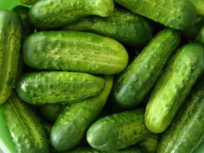 Gerkin Seeds x 20 'National' Cucumber for Pickling - FREE POSTAGE - Image 1 of 2