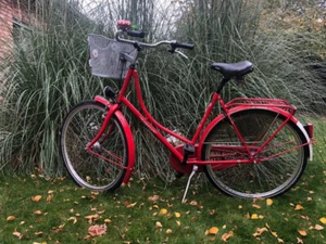 Vintage Damen Hollandrad 28er Orginal Simplex - Bild 1 von 17