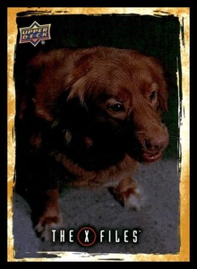 2025 UD X-Files Government Conspiracies Base 624 Teso Dos Bichos - Picture 1 of 2