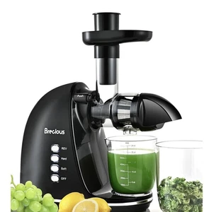 Slow Masticating Juicer, Cold Press w/ 2 Speed Modes, Quiet, High Juice Yield - Picture 1 of 5
