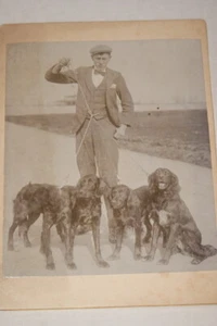 PHOTO VINTAGE CHIENS EPAGNEULS BRETONS PROMENADE TIRAGE ALBUMINE - Picture 1 of 1