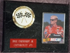 8X6" Dale Earnhardt Jr Chevrolet #8 Wooden Plaque - Picture 1 of 2