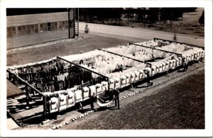 RPPC WWII Farragut ID US Naval Training Station Company Clothesline postcard JP5 - Picture 1 of 2