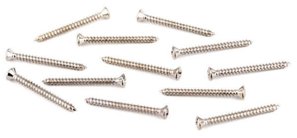 Tornillos de montaje de placa de cuello de cabeza ovalada para guitarra Fender genuinos, cromados (paquete de 12) Foto 1 de 1