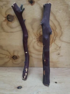 2 rot/grau Manzanita Zweig #204 grobe Schnitte 16,5" - Bild 1 von 8