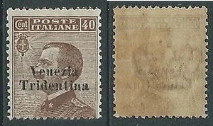1918 TRENTINO ALTO ADIGE EFFIGIE 40 CENT GOMMA BICOLORE - P12-10 - Picture 1 of 1