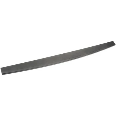 Молдинг в сборе для задней двери Dorman 925-604 - Изображение 1 из 4