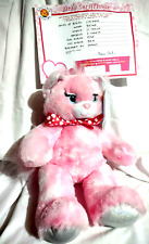 Build a Bear Blingy Kitty Plush Stuffed Toy NWT Pink in BOX 2014 Birth Cert BAB