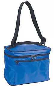 Mini Borsa Frigo Isolata Box Termica Pranzo Picnic Tracolla 9,5" Pollici - Foto 1 di 15