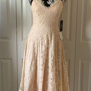 Vestido midi patinador de encaje rosa rubor Lulus XS para mujer fiesta cóctel - Imagen 1 de 15
