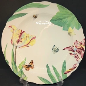 Spode Dinner Plate Floral Haven Parrot Tulip England Butterflies Bees Ruffled - Picture 1 of 5