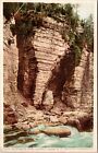 Elephants Head Ausable Chasm New York Ny Cliff Walls River Postcard Unused Unp