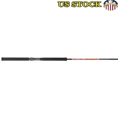10ft 2 Piece Crappie Fishing Spinning Rod Lightweight Trolling Pole EVA Handle - Image 1 of 4